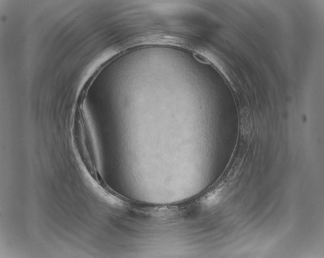 X0000068741139200605051444