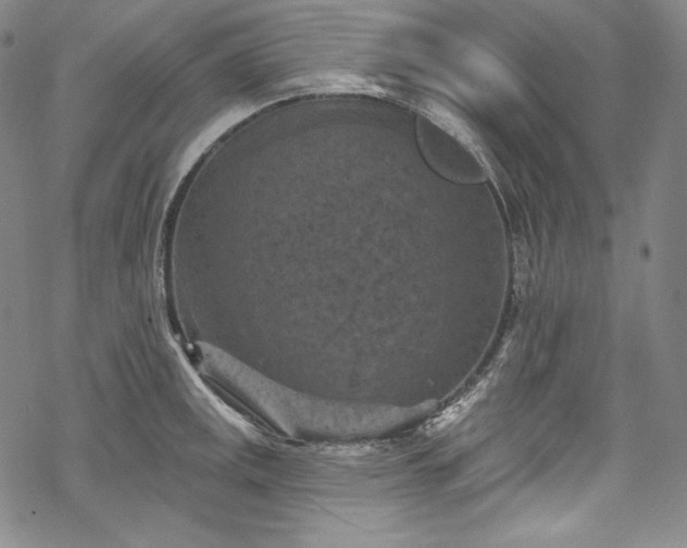 X0000068741141200605051444