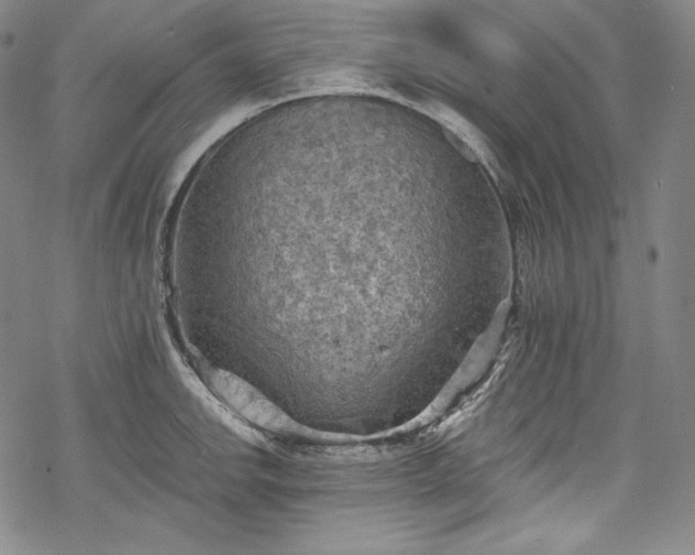 X0000068741142200605051444