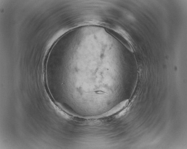 X0000068741143200605051444