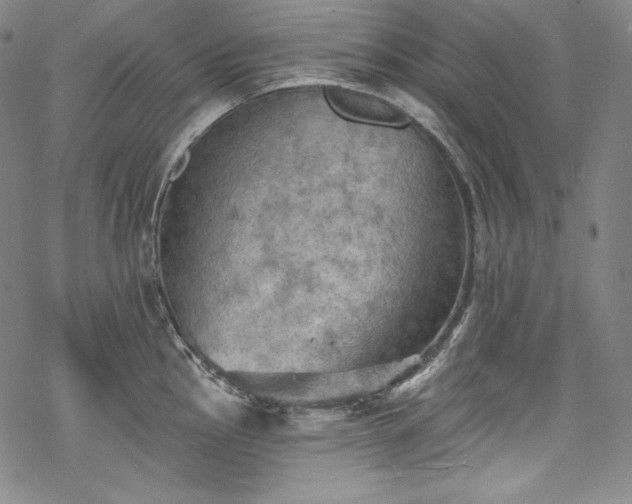 X0000068741145200605051444