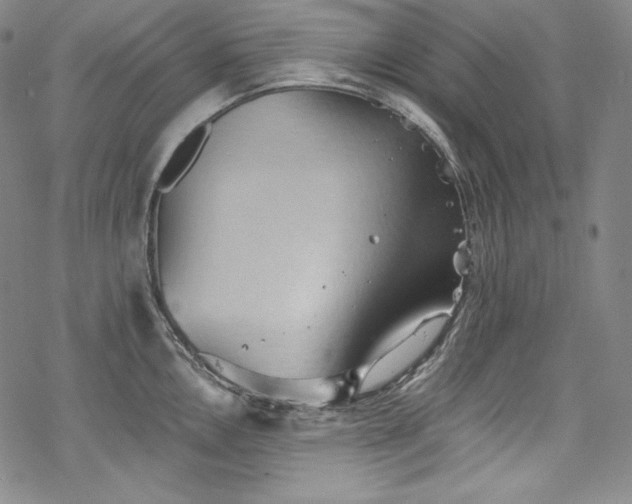 X0000068741146200605051444