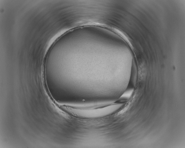 X0000068741149200605051444