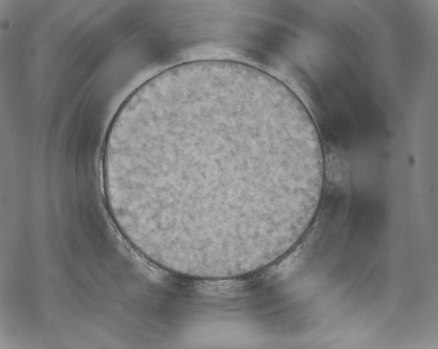 X0000068741150200605051444