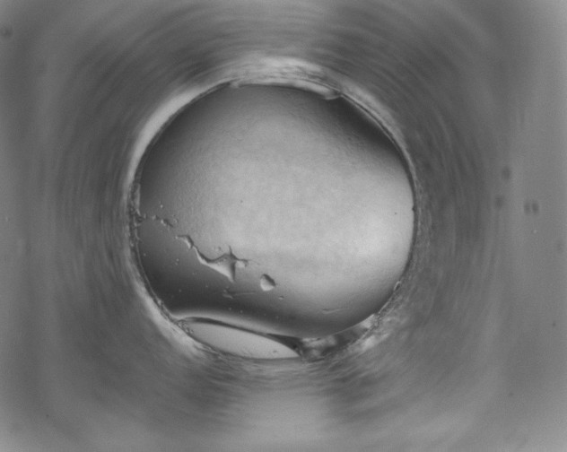 X0000068741152200605051444