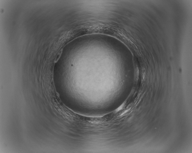 X0000068741153200605051444