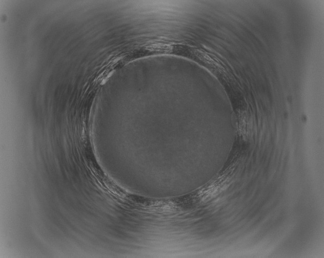 X0000068741154200605051444