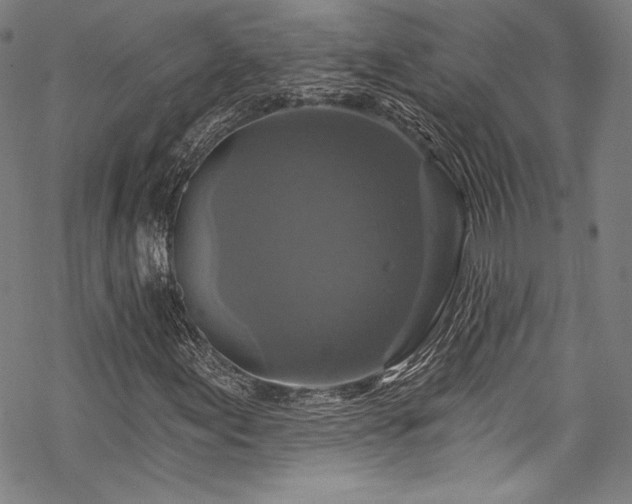 X0000068741155200605051444