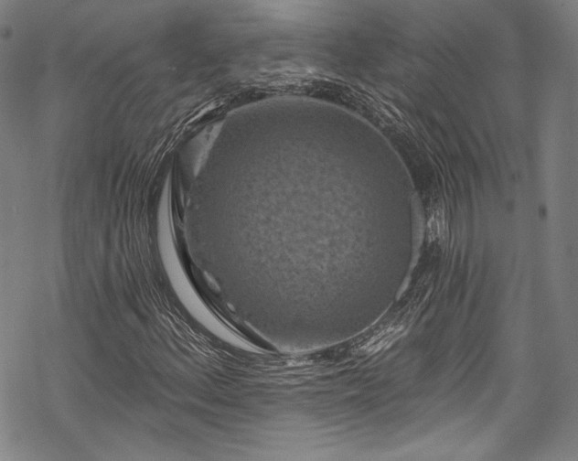 X0000068741156200605051444