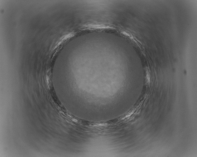 X0000068741157200605051444