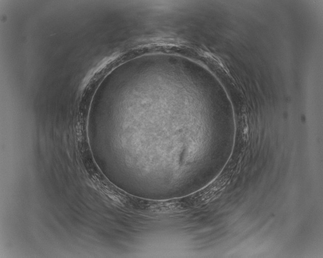 X0000068741159200605051443