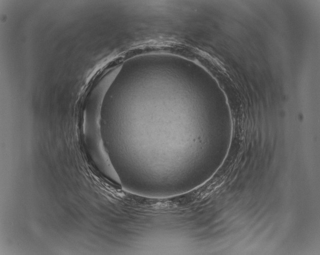 X0000068741160200605051443