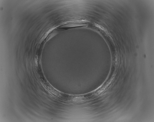 X0000068741161200605051443