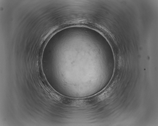 X0000068741162200605051443