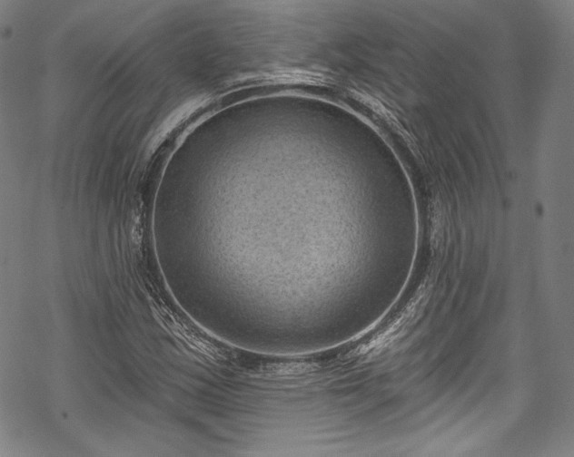 X0000068741163200605051443