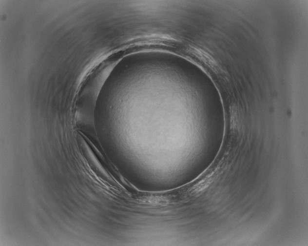 X0000068741164200605051443