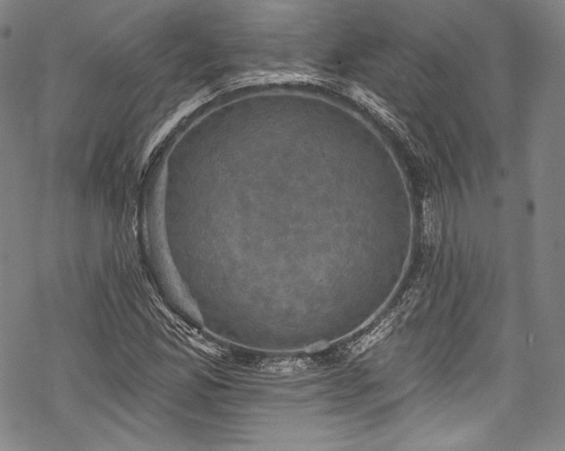 X0000068741165200605051443