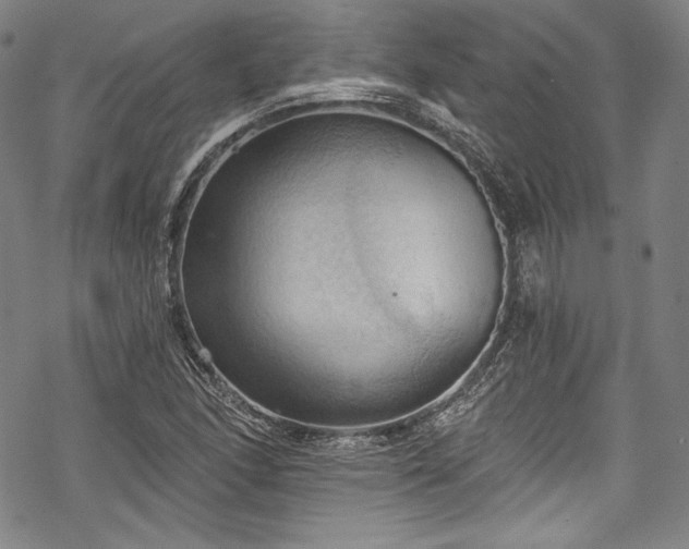 X0000068741166200605051443