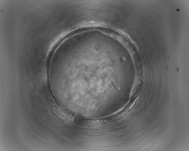 X0000068741167200605051443