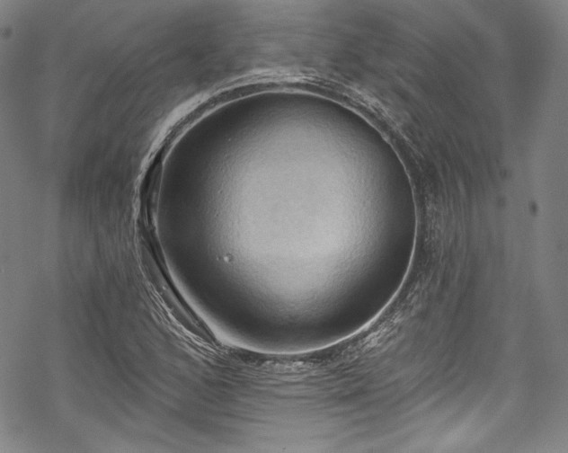 X0000068741168200605051443