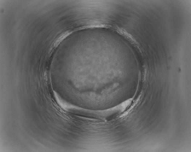 X0000068741169200605051443