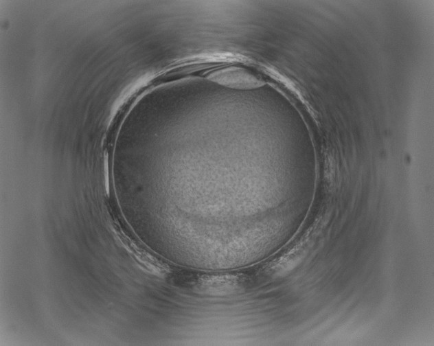 X0000068741171200605051443