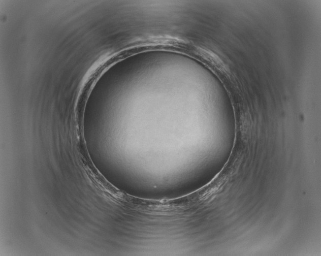 X0000068741172200605051443