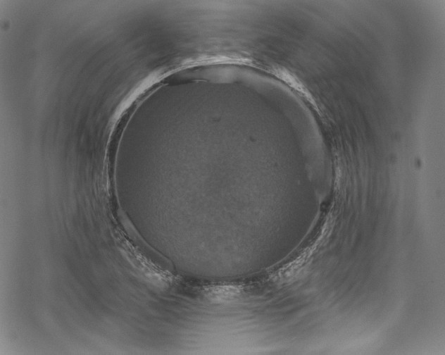 X0000068741173200605051443