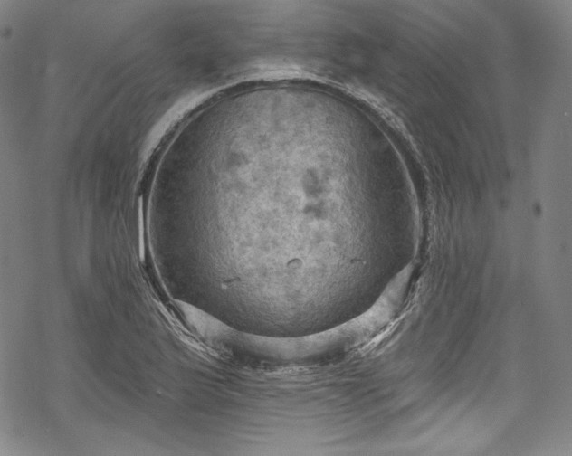 X0000068741175200605051443