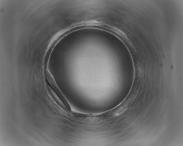 X0000068741176200605051443