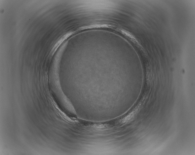 X0000068741177200605051443