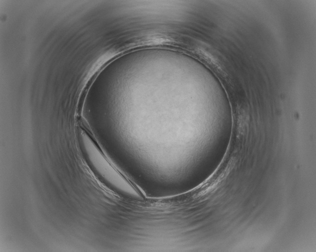 X0000068741178200605051443