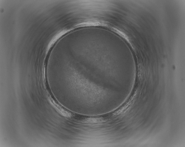 X0000068741179200605051443