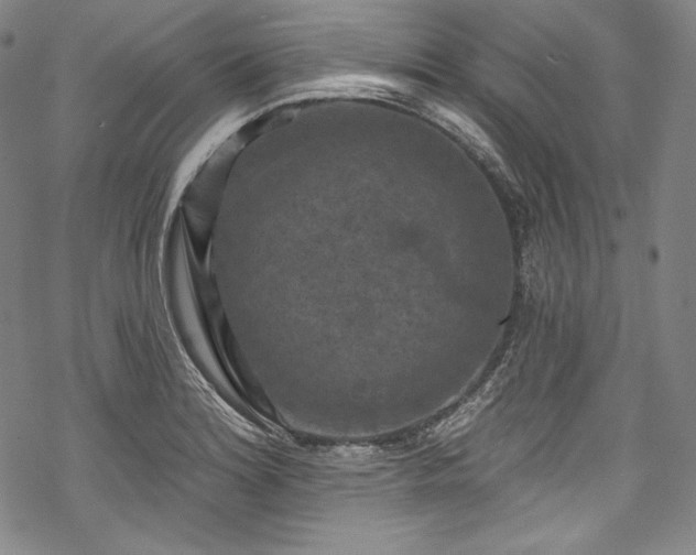 X0000068741180200605051443