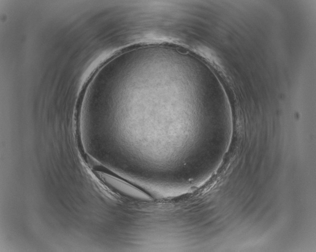 X0000068741183200605051443