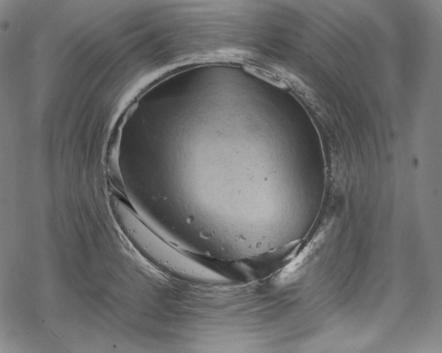 X0000068741184200605051443