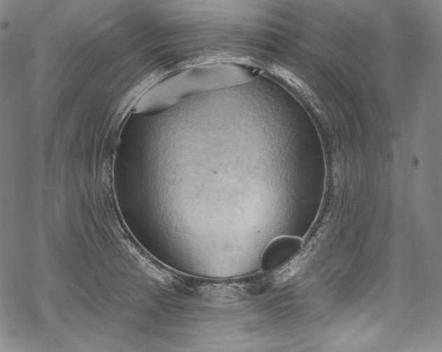 X0000068741185200605051443