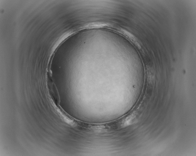 X0000068741186200605051443