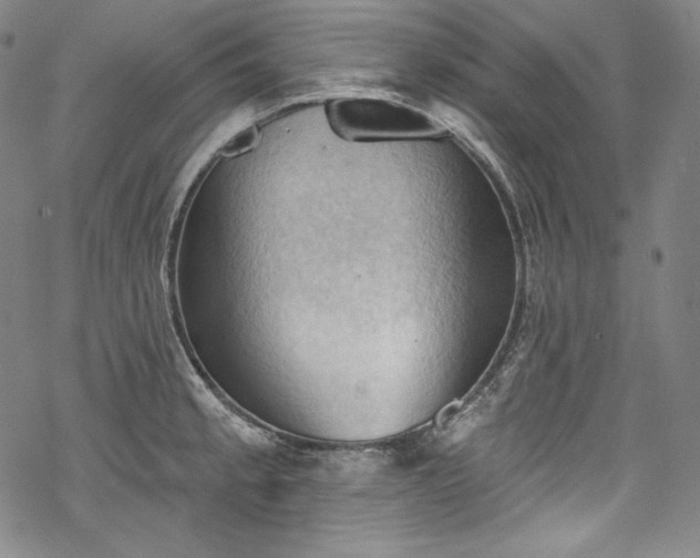 X0000068741189200605051443