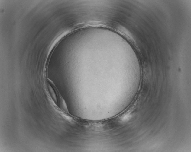 X0000068741190200605051443