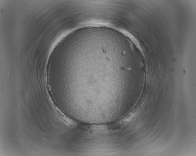 X0000068741191200605051443