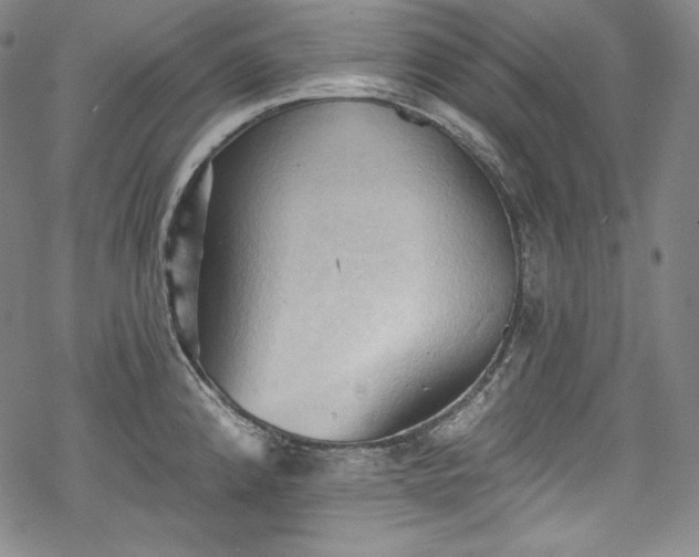 X0000068741192200605051443