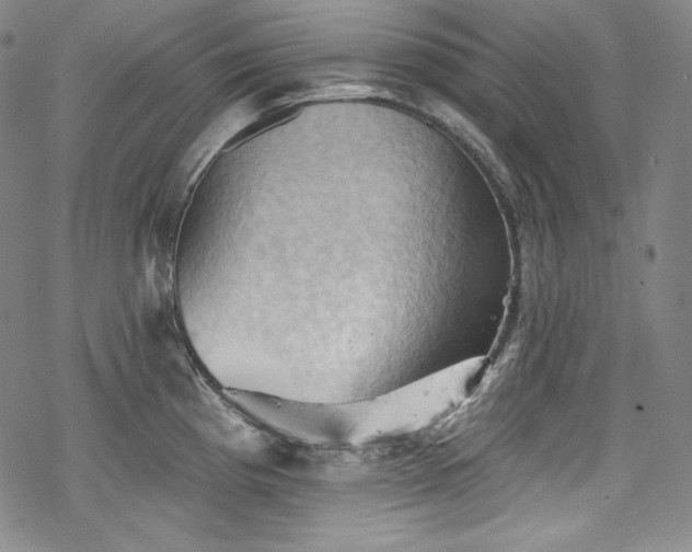 X0000068741193200605051443