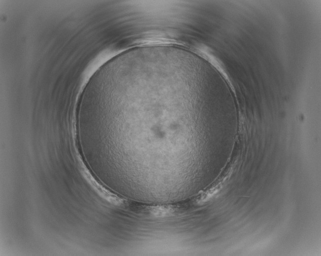 X0000068741195200605051443