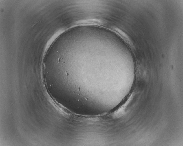 X0000068741196200605051443