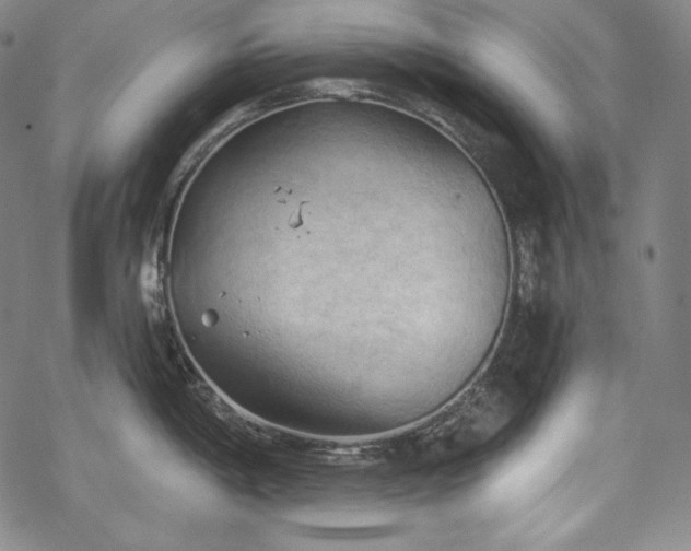 X0000068741198200605051443