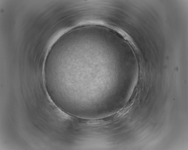 X0000068741199200605051443