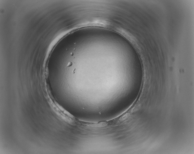 X0000068741200200605051443