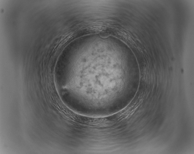 X0000068741201200605051442