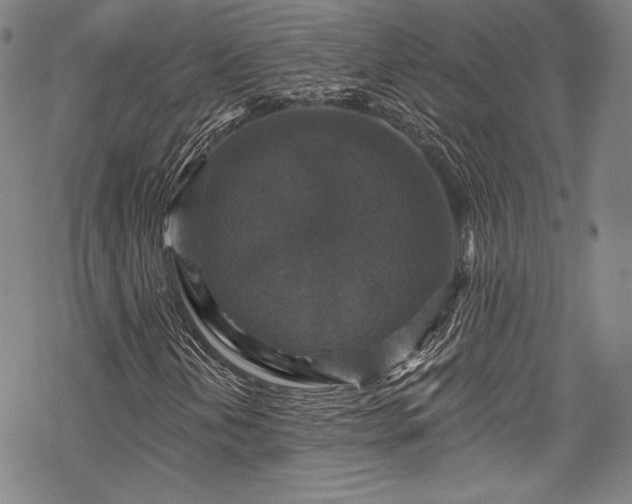 X0000068741202200605051442